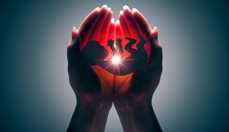 IL FONDO “VITA NASCENTE”: Silvio Magliano dei Moderati&nbsp;<>