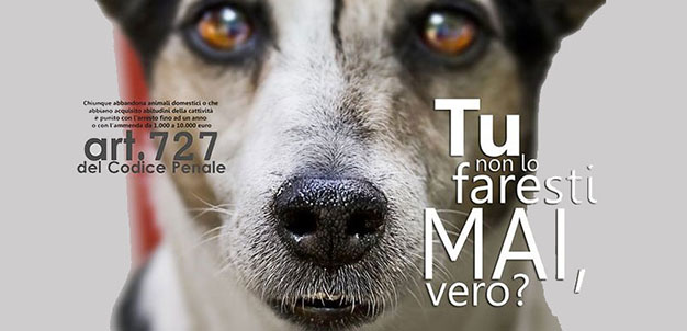 L’Animale. Il migliore amico dell’uomo abbandonato a se stesso in Estate da alcuni “animali&nbsp;“.