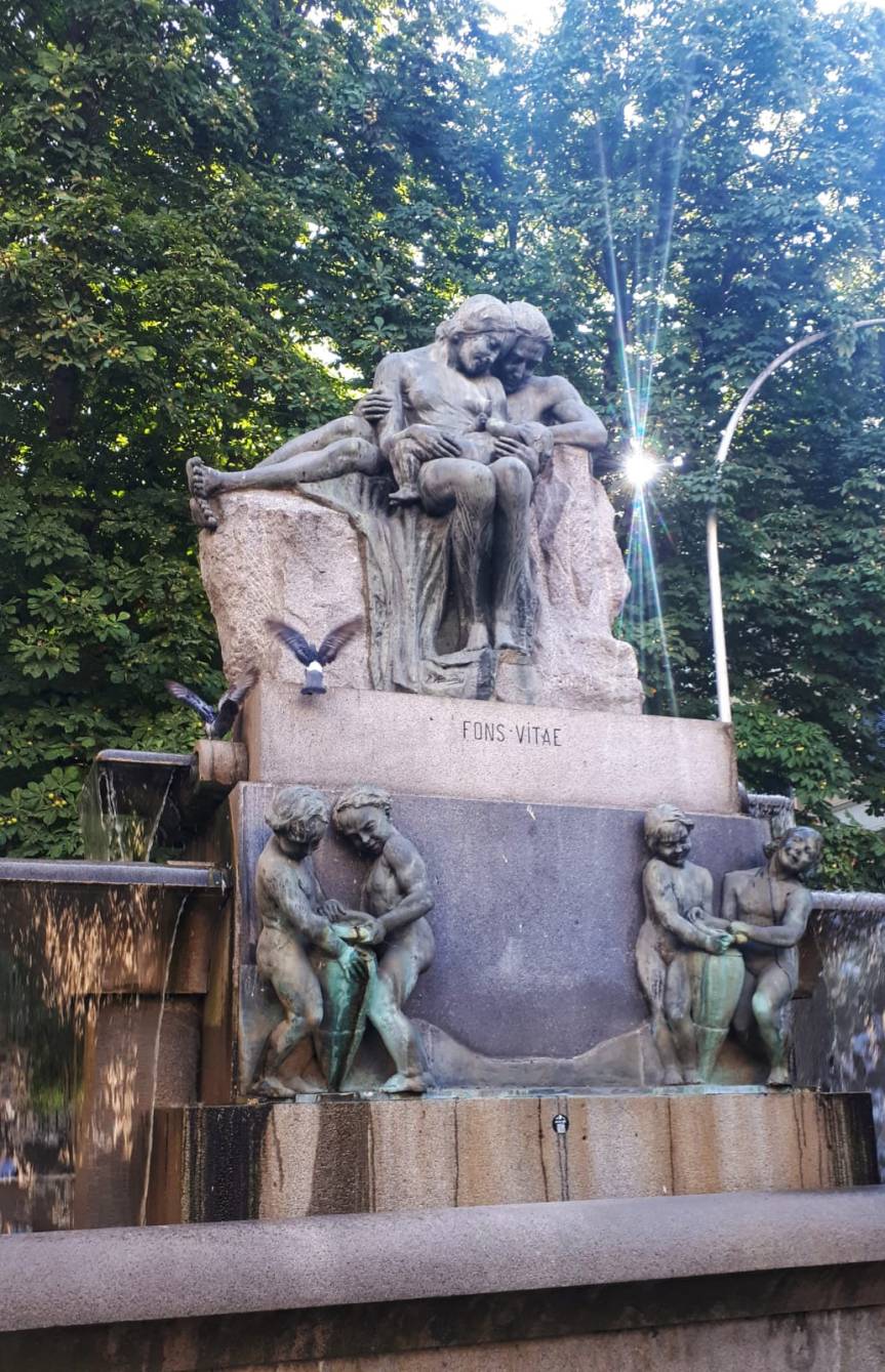 RES PUBLICA FONS&nbsp;VITAE