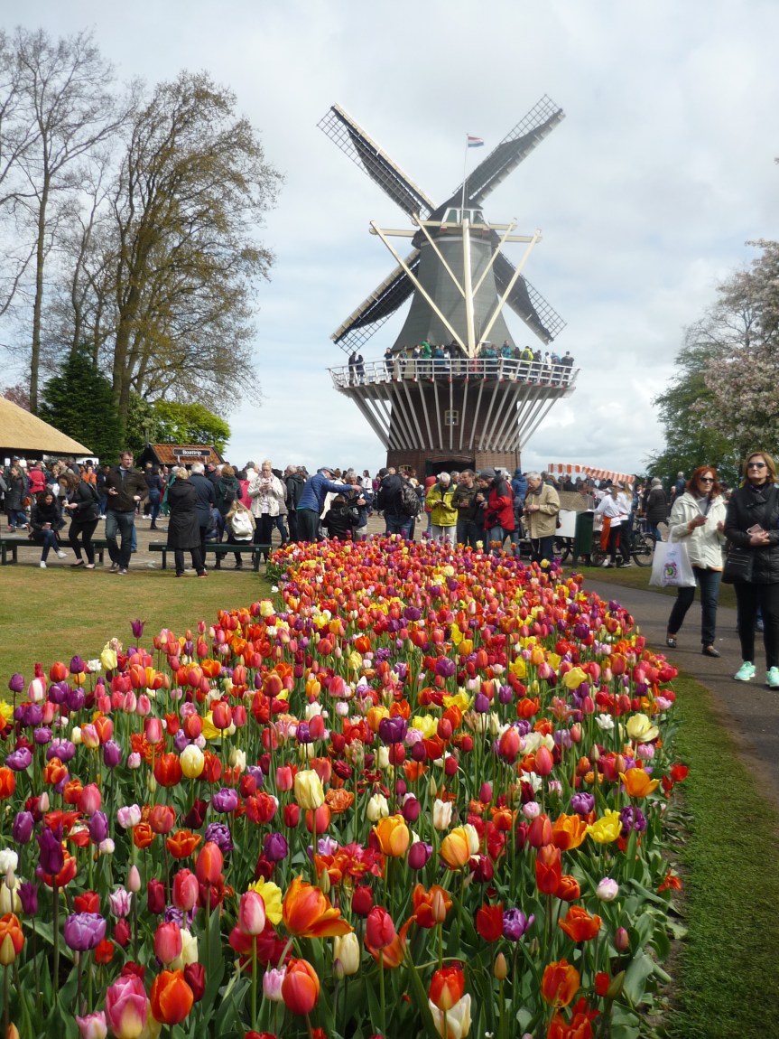 Vagabondando con Andrea e Greta per il mondo. Oggi video in&nbsp;Olanda