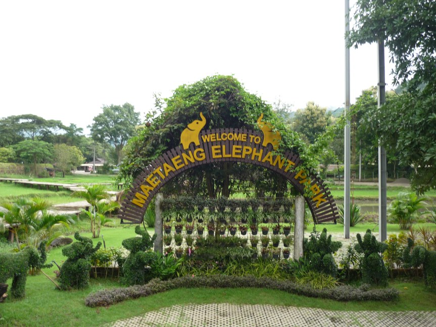 ❗️VIDEO❗️  Vagabondando con Andrea e Greta per la Thailandia . Oggi al Mae Taeng Elephant&nbsp;Park