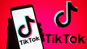 Tik Tok #VitadaBoomer di Roberto&nbsp;Pareschi
