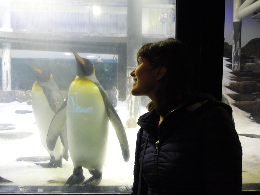 #storia&viaggi. Il Viaggio di Andrea e Greta per Sidney&nbsp;📹videofoto📹