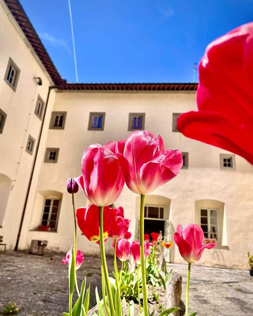 Il Pensiero Domenicale di Andrea Benedetto Ferri Osb&nbsp;video