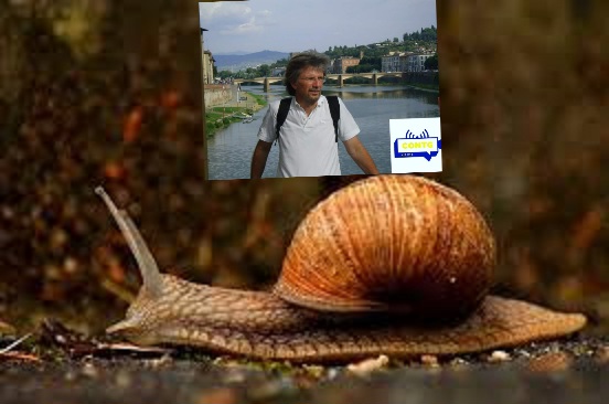 L’elogio della lentezza secondo Roberto Pareschi&nbsp;.