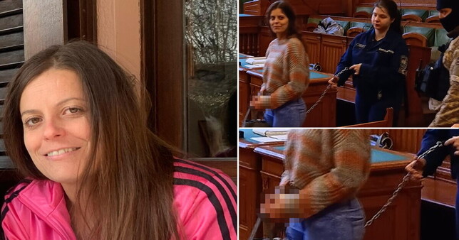 Ilaria Salis e il distratto governo italiano – di Andrea&nbsp;Guasco