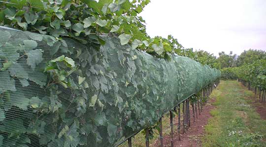 La Regione Piemonte in aiuto per le reti antigrandine agli agricoltori locali – di Andrea&nbsp;Guasco