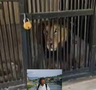 IL BOOMER  ROBERTO PARESCHI E UN SELFIE&nbsp;RIVELATORE.
