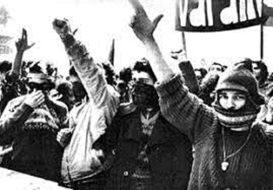 La Rivolta Studentesca del Boomer Roberto&nbsp;Pareschi