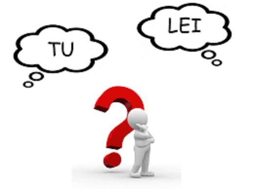 IL BOOMER , IL “tu” E IL LEI di Roberto&nbsp;Pareschi