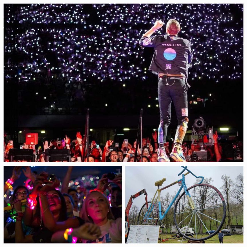 𝐁𝐫𝐚𝐜𝐜𝐢𝐚𝐥𝐞𝐭𝐭𝐢 𝐟𝐚𝐬𝐡𝐢𝐨𝐧 𝐛𝐲 𝐍𝐢𝐠𝐡𝐭𝐥𝐢𝐟𝐞 𝐏𝐫𝐨𝐣𝐞𝐜𝐭. Pronti per le Notti&nbsp;Rosa