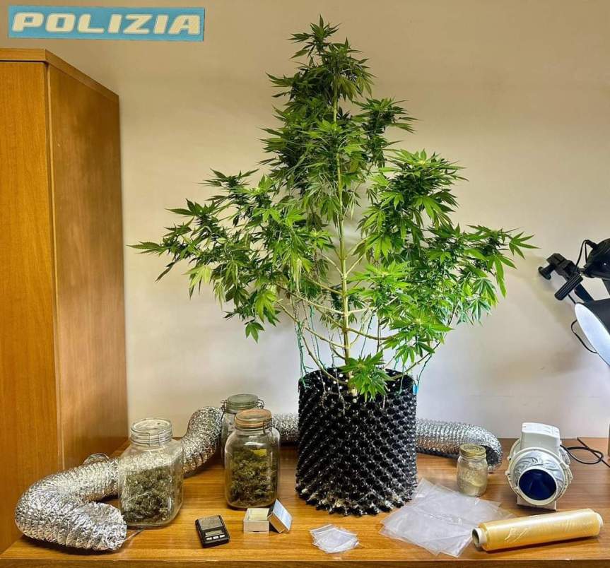 Arrestato un giovane 26enne per coltivazione di marijuana. Ottimo lavoro della Polizia di&nbsp;Stato