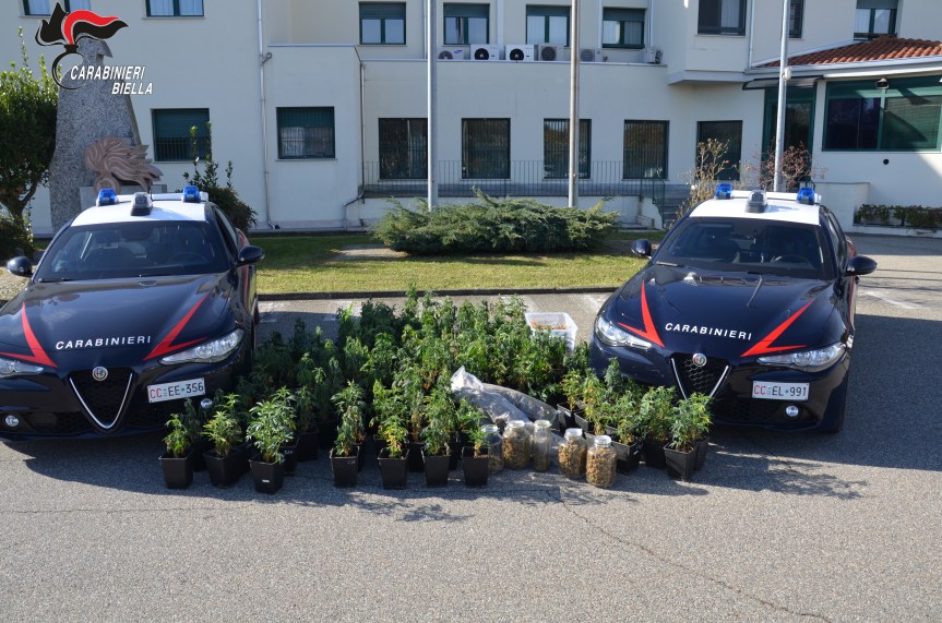 COLTIVAVA MARIJUANA IN CASA, ARRESTATO DAI CARABINIERI UN 30ENNE ORIGINARIO DEL&nbsp;MILANESE