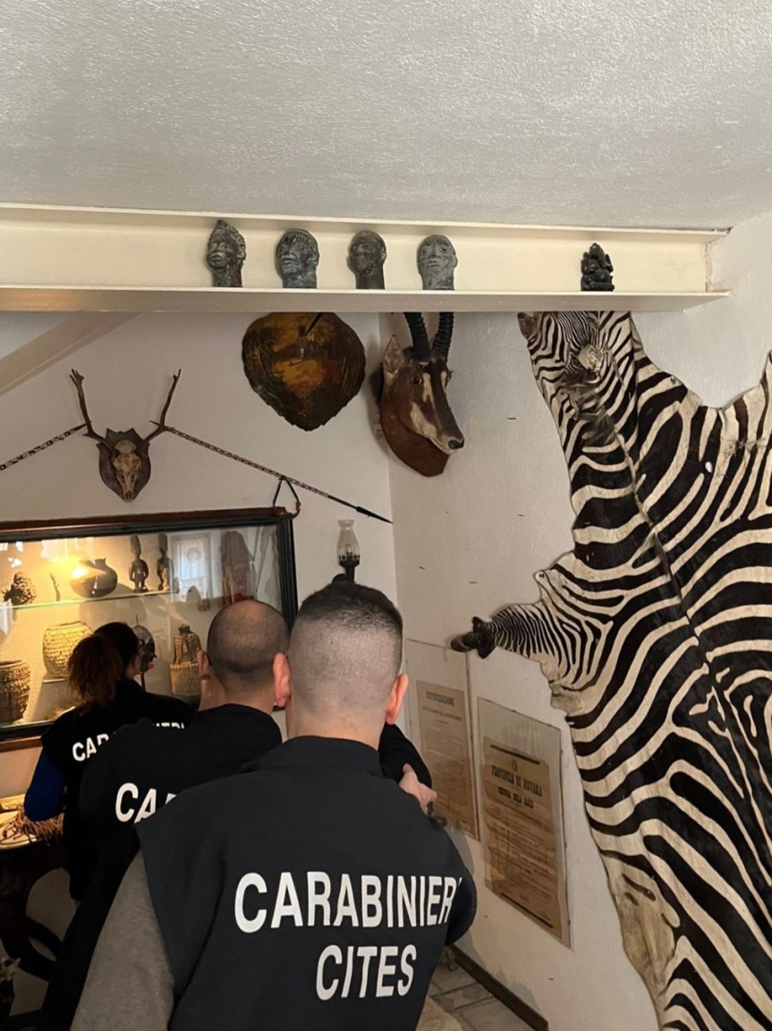 COLLEZIONISTA DI ARMI DA GUERRA E PELLI DI ANIMALI ESOTICI ARRESTATO DAI&nbsp;CARABINIERI