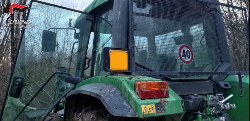 TAGLIA E RUBA ALBERI DI PROPRIETÀ COMUNALE, I CARABINIERI LO INDIVIDUANO E LO&nbsp;DENUNCIANO