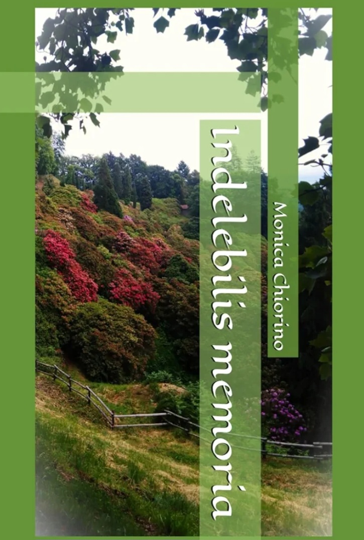 Incontro con scrittrici biellesi Monica Chiorino Sabato 22 marzo alle 16.30presso Le Rosminiane, Sala degli Affreschi in via Matteotti 48,&nbsp;Candelo