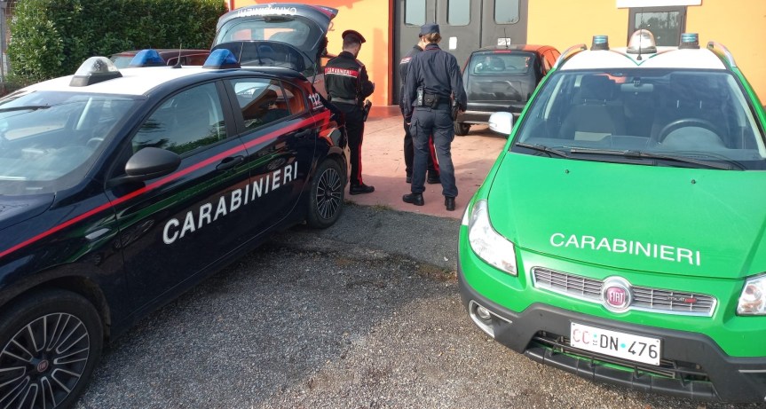CARBINIERI: DENUNCIATO PER MALTRATTAMENTO DI ANIMALI UN UOMO DI 57 ANNI&nbsp;BIELLESE.