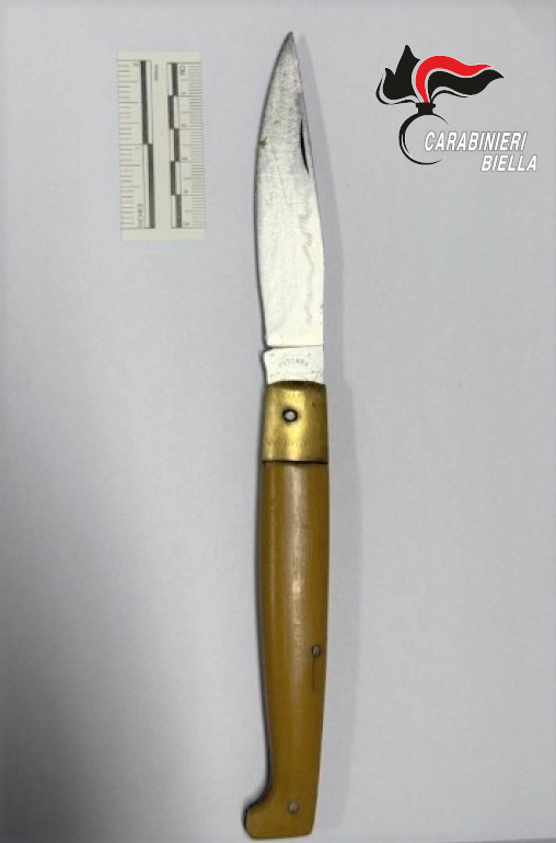 DUE UOMINI ARRESTATI DOPO UNA SERIE DI VIOLENZE AI DANNI DEI&nbsp;VICINI.