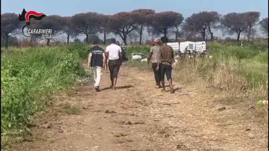 Napoli, favoreggiamento all’immigrazione clandestina: 18 arresti. Smantellata un’organizzazione transnazionale con false assunzioni in aziende agricole. Di Antonio&nbsp;Borsa