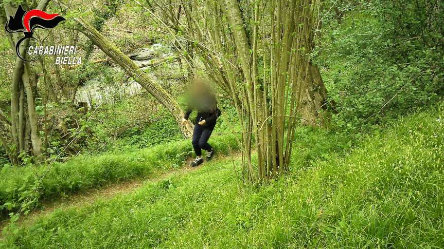 CONTRASTO ALLO SPACCIO NELLE AREE BOSCHIVE: I CARABINIERI DI BIELLA ARRESTANO UN CITTADINO STRANIERO CON OLTRE 70 GRAMMI DI&nbsp;COCAINA.
