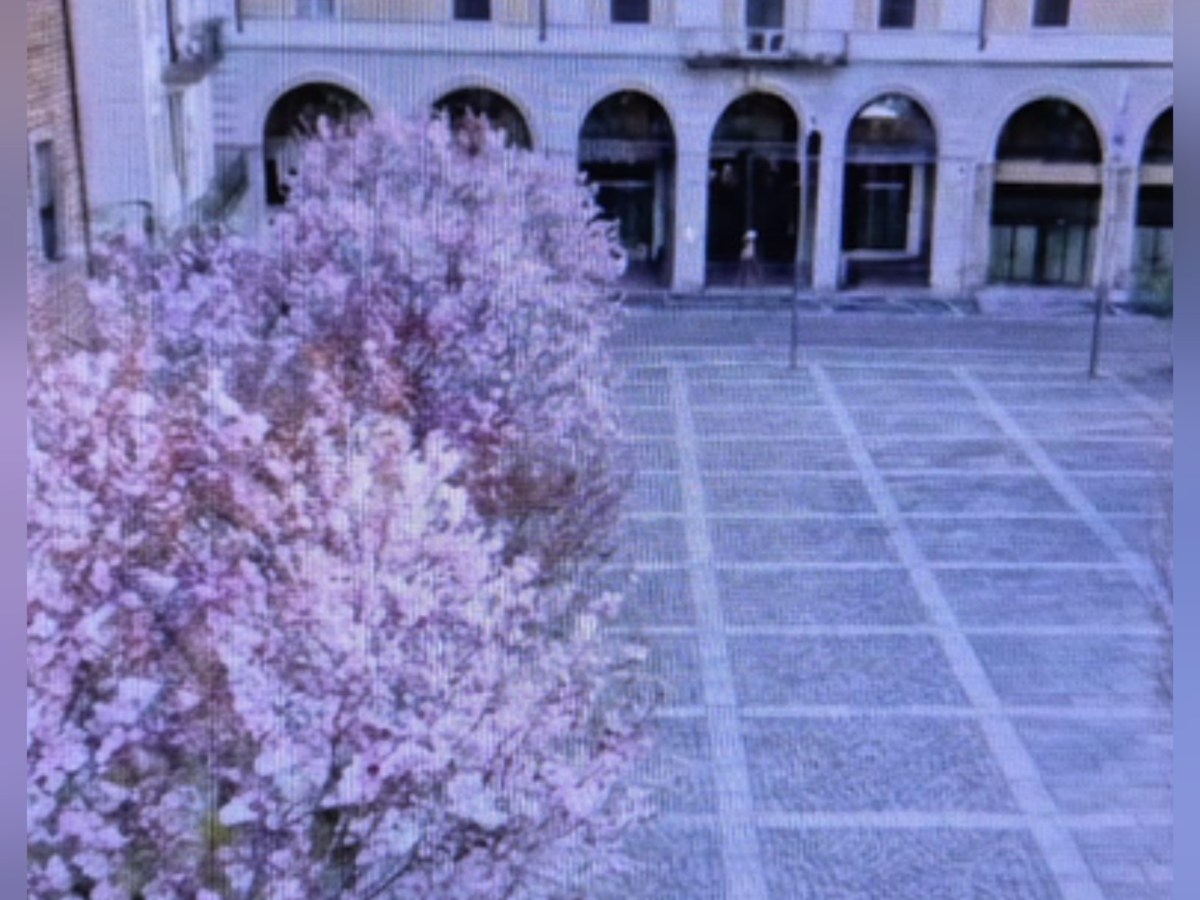 Giardini Zumaglini e mercato, Zappalà chiarisce: «Nessuna incompatibilità col bando. Il progetto rispetta i criteri di ammissibilità e tutela&nbsp;dell’ambiente»