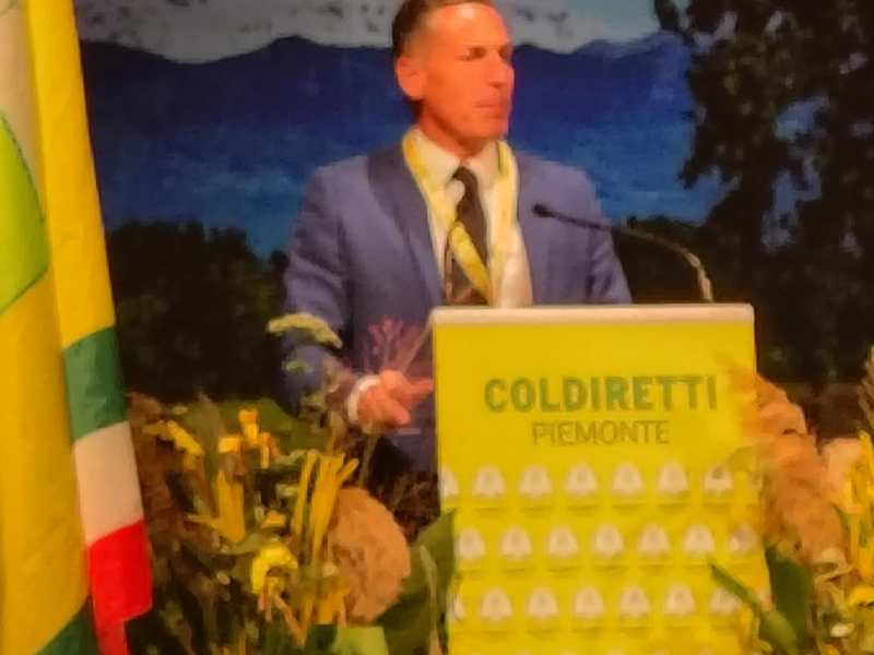 Vercelli capitale del riso: oggi il cuore di Risò&nbsp;2026