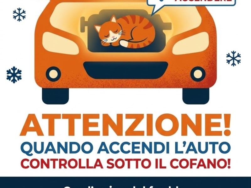 Con il freddo, attenzione ai gatti nei motori: bastano pochi secondi prima di partire per prevenire un&nbsp;rischio.